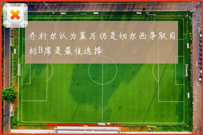 乔科尔认为莱万仍是切尔西争取目标B席是最佳选择